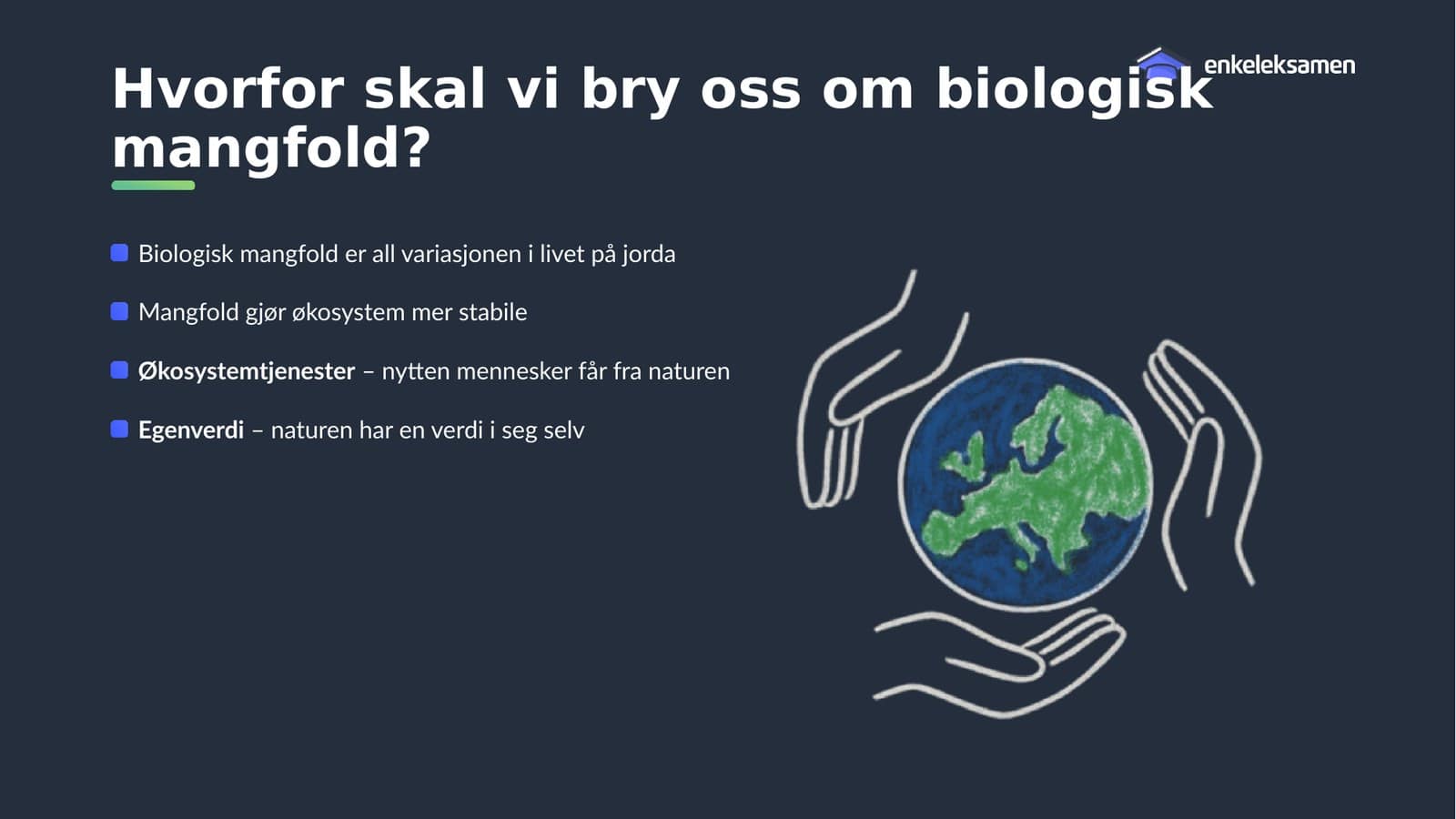 Hender rundt jordkloden og en oversikt over naturens egenverdi og økosystemtjenester.