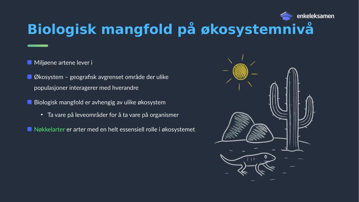 Lysbilde om økosystemmangfold med en illustrasjon av sol, kaktus og øgle i en ørken.