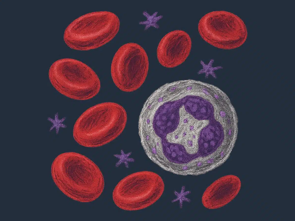Immunforsvaret: hvorfor får de fleste vannkopper bare én gang?