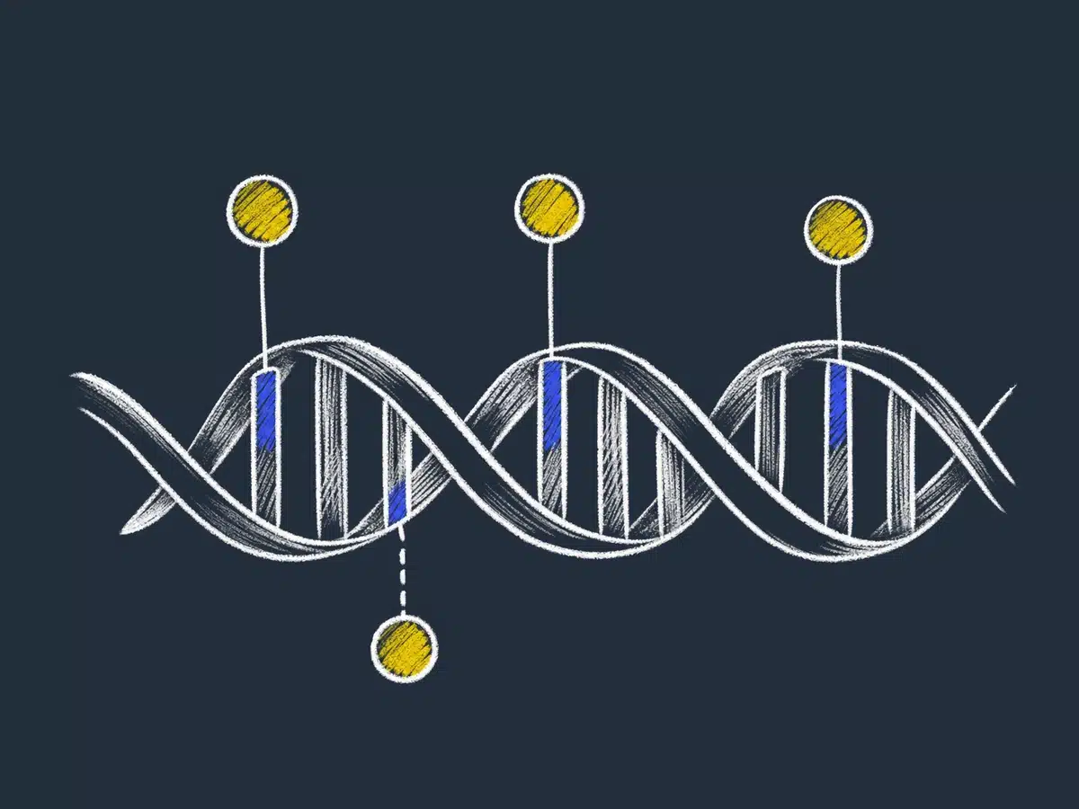 Epigenetikk: hva det er og hvordan gener reguleres