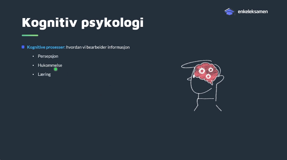 Hva er persepsjon? En enkel forklaring for psykologistudenter