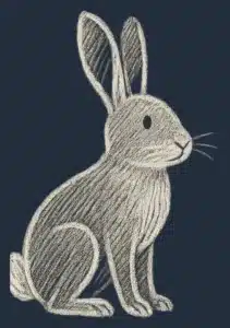 Illustrasjon av en hare.
