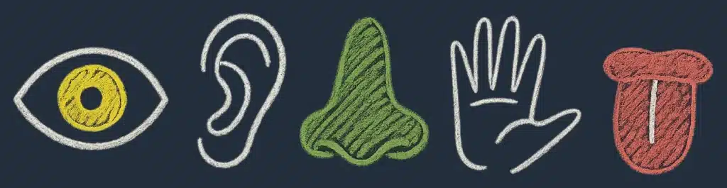 Øye, øre, nese, hånd og tunge som symboler for sansene.